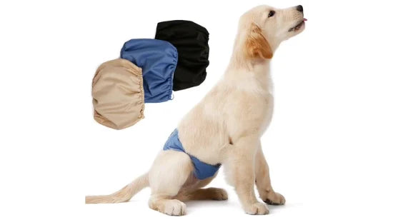 3pcs of Waterproof Reusable Male Dog Diaper – Washable Belly Band Wrap for Toilet Training WBB12547