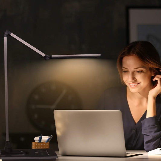 Lighting EVER Brushed Metal Design LED Desk Lamp, Flexible Touch Control Desk Lamp with USB Port, Timer and Memory Function, 3 Brightness Levels (Dark Grey)