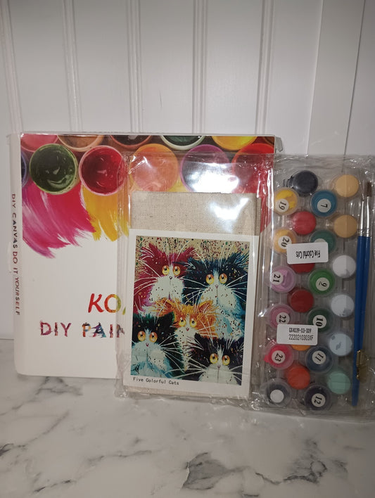 DIY Painting Paint by Numbers Kits on Canvas Magic Cat 16x20 Inch