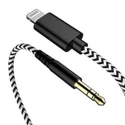 Aux Cord for iPhone