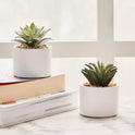 set of 2 Small Ceramic Flower Vase with Mini Artificial Flowers – Home Decor Pot
