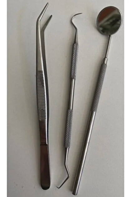 Stainless Steel Dental Instruments Set | Basic Dentist Tools Kit