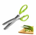 5 in 1 Vegetable Scissor – Salad, Fruit & Leafy Green Chopping Scissors | Kitchen Tool