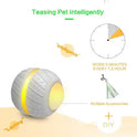 BENTOPAL Cat Interactive Toys Ball
