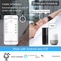 Smart WiFi Curtain Switch Module