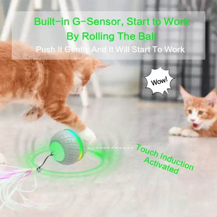 BENTOPAL Cat Interactive Toys Ball
