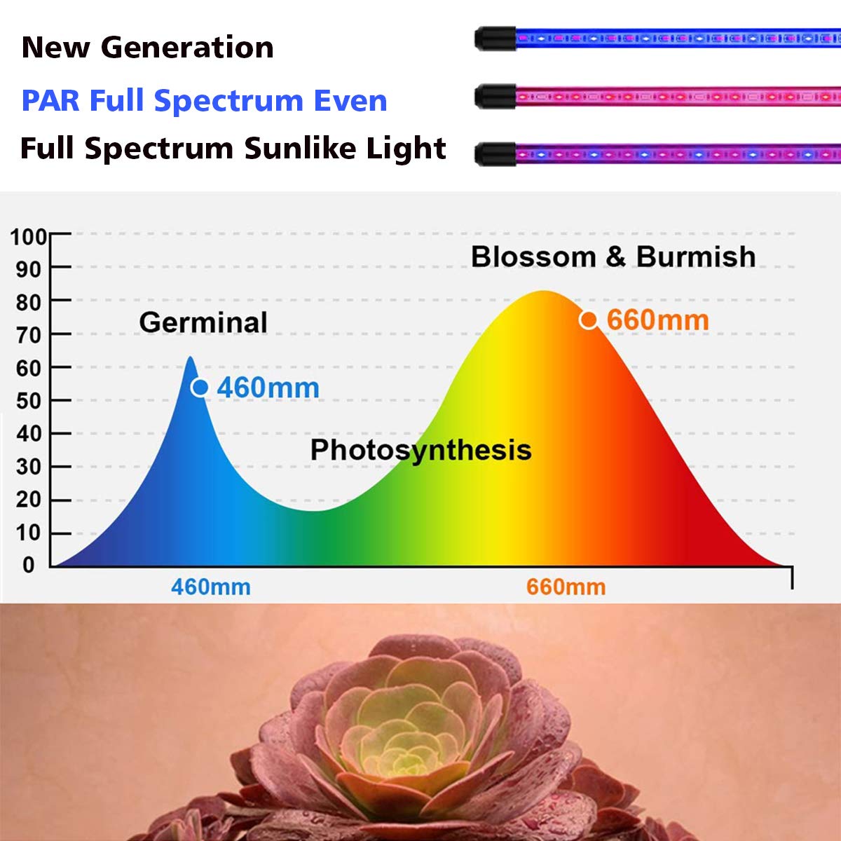 MoKasi LED Grow Light for Indoor Plant - 60W Tri Head Red Blue Spectrum Clip On Desk Growing Lamp with 6 Dimmable Levels Auto Timer Perfect for House Garden...