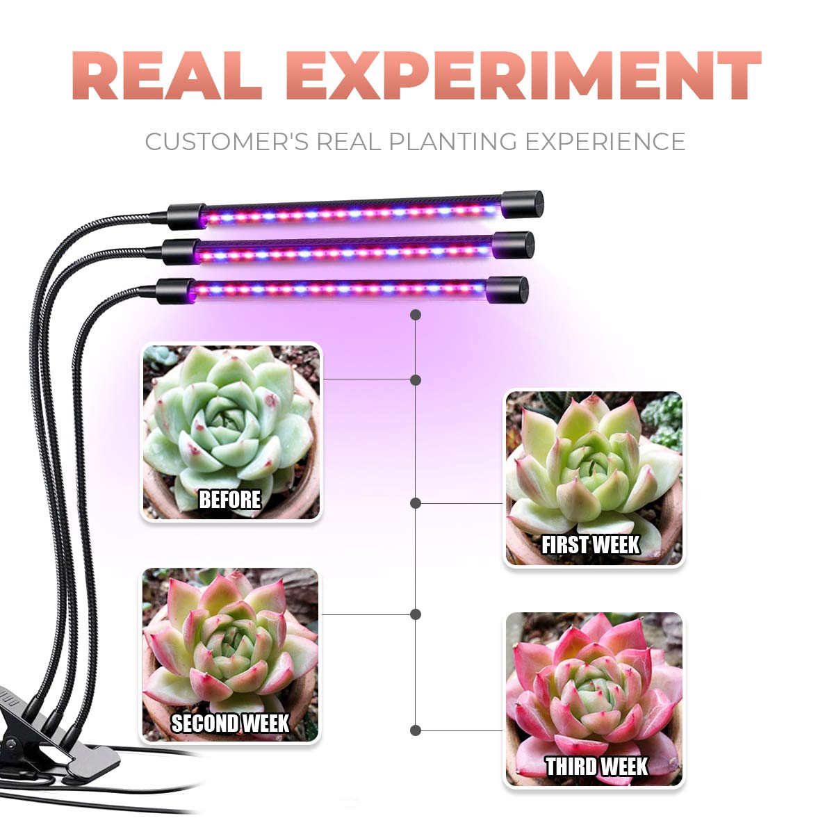 MoKasi LED Grow Light for Indoor Plant - 60W Tri Head Red Blue Spectrum Clip On Desk Growing Lamp with 6 Dimmable Levels Auto Timer Perfect for House Garden...