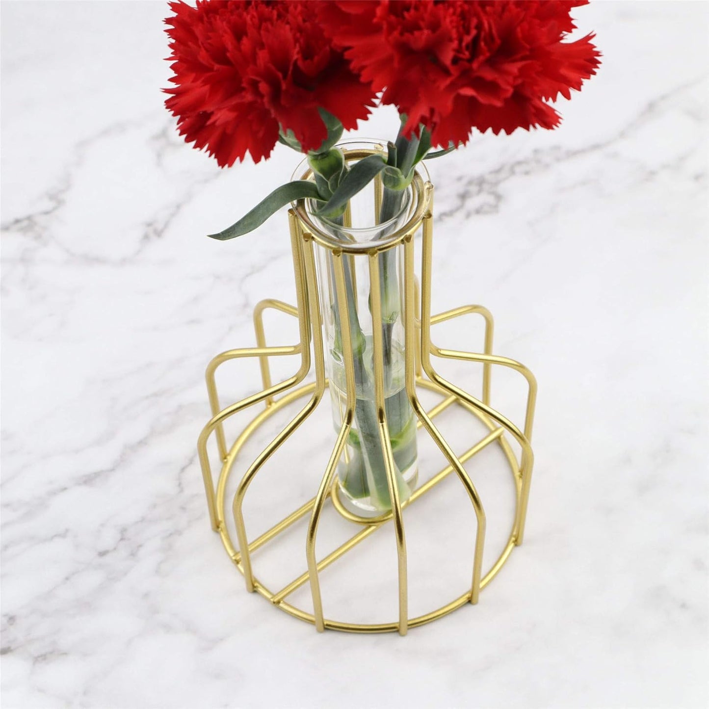 Kathney set of 2 Small Flower Glass Clear geometric Vase Test Tube Metal Frame Vase Plant Propagation Stations for Centerpieces Pampas Grass Table...