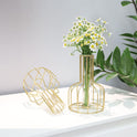Kathney set of 2 Small Flower Glass Clear geometric Vase Test Tube Metal Frame Vase Plant Propagation Stations for Centerpieces Pampas Grass Table...