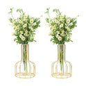 Kathney set of 2 Small Flower Glass Clear geometric Vase Test Tube Metal Frame Vase Plant Propagation Stations for Centerpieces Pampas Grass Table...