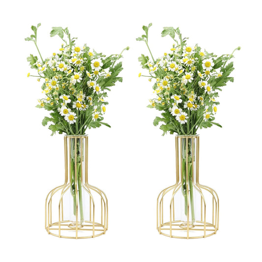Kathney set of 2 Small Flower Glass Clear geometric Vase Test Tube Metal Frame Vase Plant Propagation Stations for Centerpieces Pampas Grass Table...
