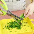 5 in 1 Vegetable Scissor – Salad & Fruit Chopping Scissors | Leafy Green Kitchen Tool