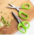 5 in 1 Vegetable Scissor – Salad & Fruit Chopping Scissors | Leafy Green Kitchen Tool