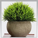 Simulated Coniferous Potted Plants – Realistic Faux Evergreen Decor