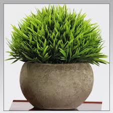Simulated Coniferous Potted Plants – Realistic Faux Evergreen Decor