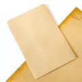 Small Craft Envelopes – 50pcs Mini Brown Kraft Paper Pouches for Jewelry, Seeds, Coins & Gifts