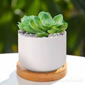 Small Ceramic Flower Vase with Mini Artificial Flowers – Home & Table Decor