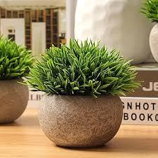 Simulated Coniferous Potted Plants – Realistic Faux Evergreen Decor
