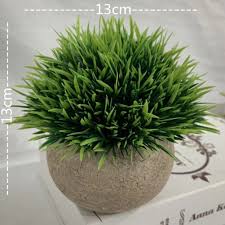 Simulated Coniferous Potted Plants – Realistic Faux Evergreen Decor