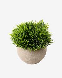 Simulated Coniferous Potted Plants – Realistic Faux Evergreen Decor