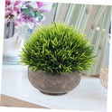 Simulated Coniferous Potted Plants – Realistic Faux Evergreen Decor