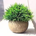 Simulated Coniferous Potted Plants – Realistic Faux Evergreen Decor