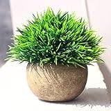 Simulated Coniferous Potted Plants – Realistic Faux Evergreen Decor