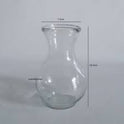 3 Transparent Glass Vase – Round Hydroponic Hyacinth Flower Bottle