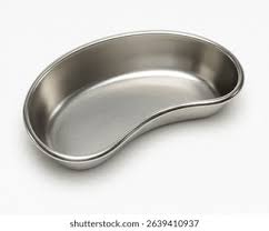 Stainless Steel Kidney Tray (Medium) – AAProTools Medical Instrument Tray