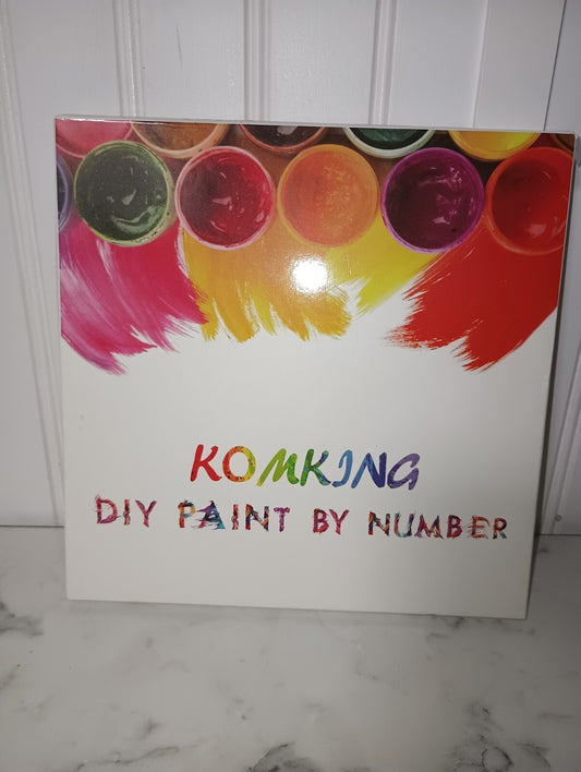 DIY Painting Paint by Numbers Kits on Canvas Magic Cat 16x20 Inch